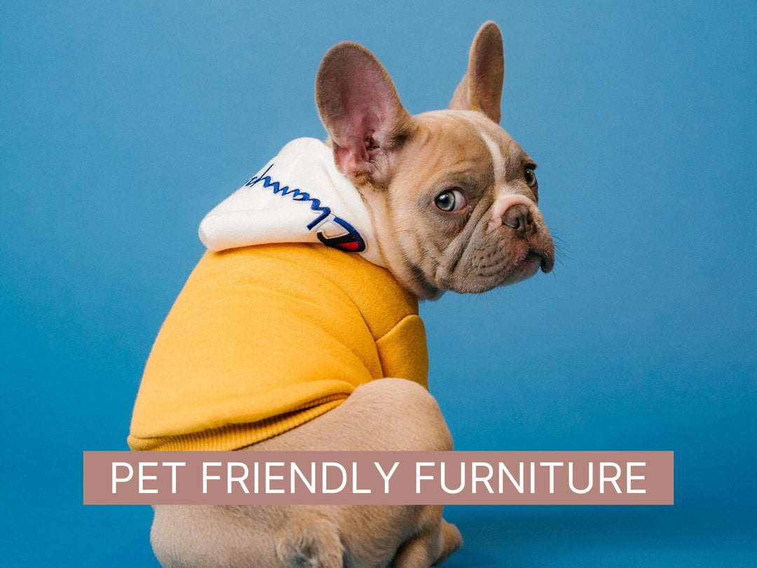 How to Choose Pet-Friendly Furniture for your Home