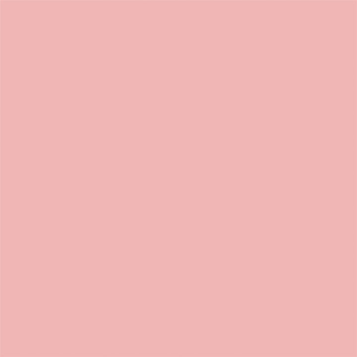 Skyler Metal Montessori House Bed - Blush - Twin