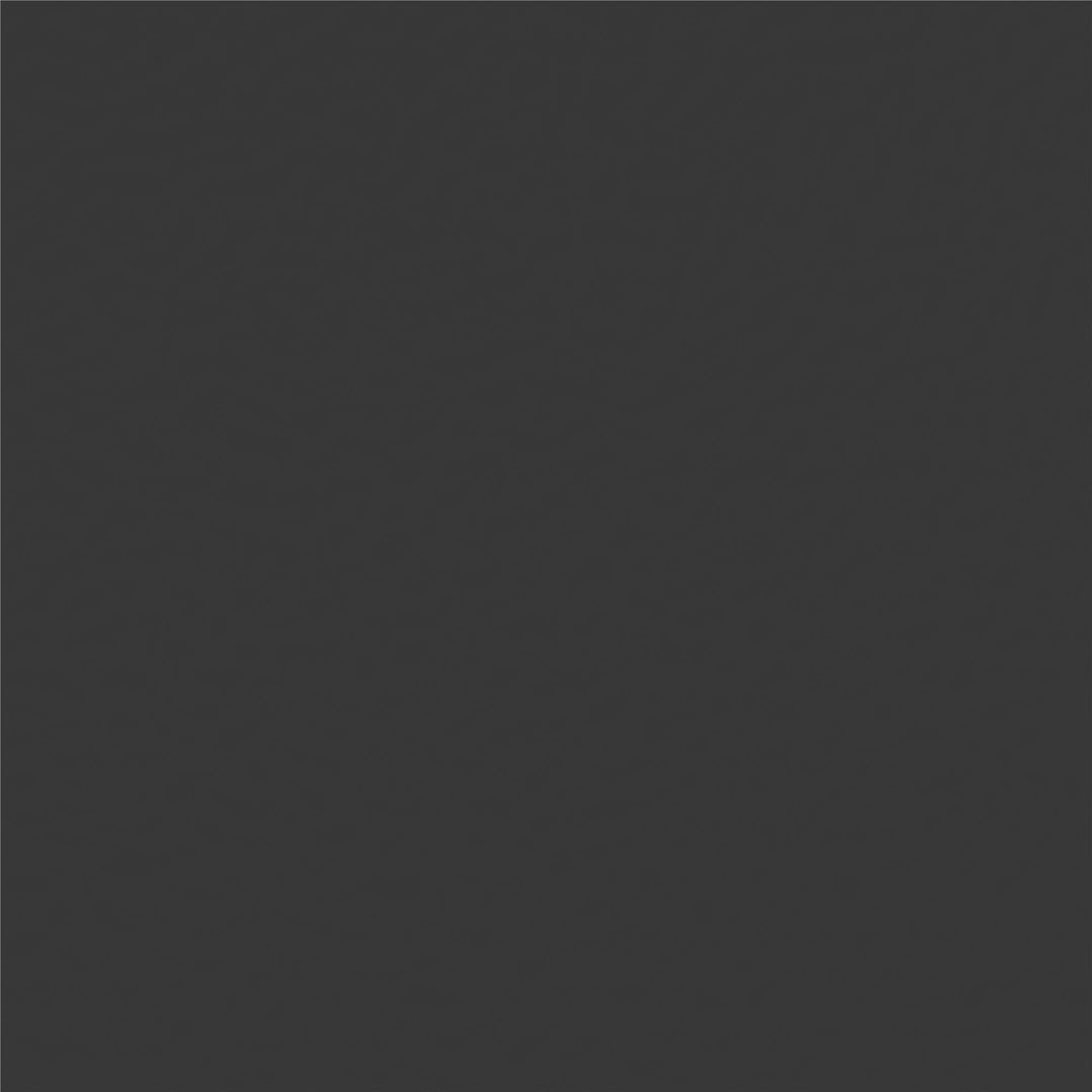 Skyler Metal Montessori House Bed - Black - Twin