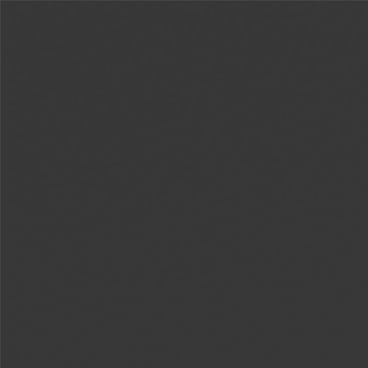Skyler Metal Montessori House Bed - Black - Twin