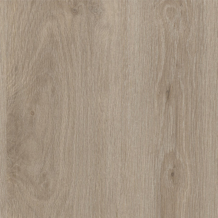 Arbor Accent Cabinet with Arched Front, Blonde Oak - Blonde Oak